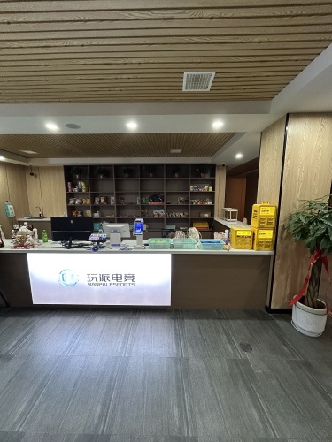 玩派电竞