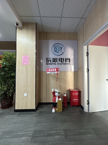 玩派电竞