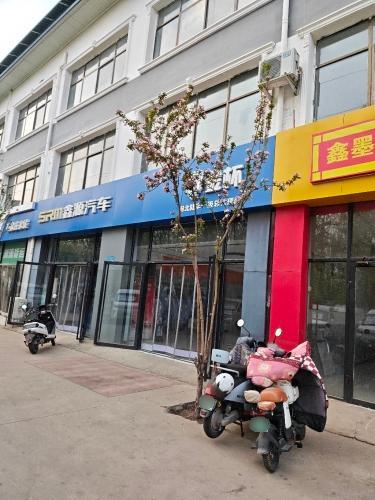 金杯新能源(河北陆丰店)
