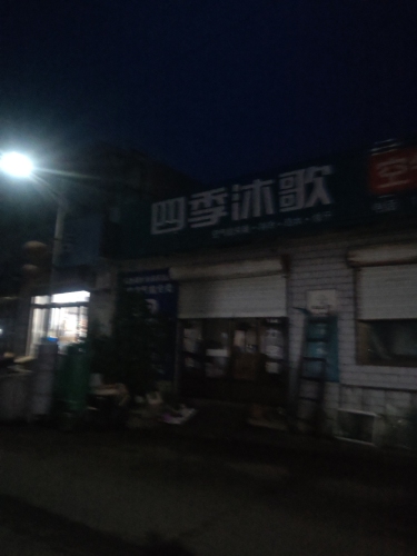 四季沐歌