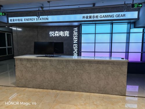 悦森电竞(信誉楼店)