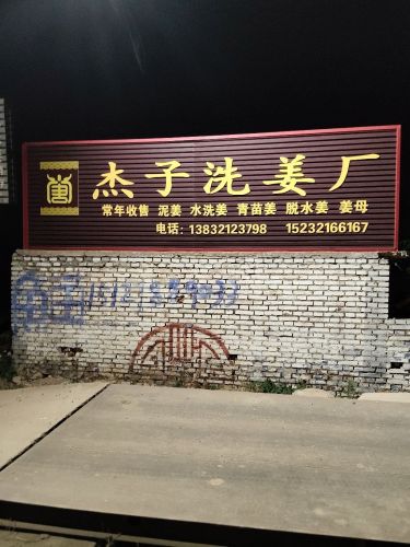 杰子洗姜厂