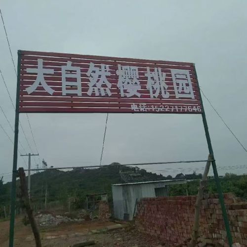 大自然樱桃园