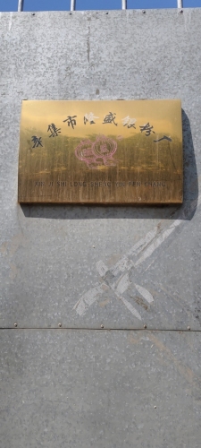 辛集市隆盛银粉厂