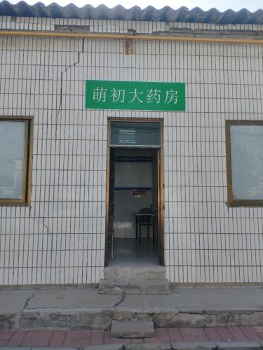 萌初大药房