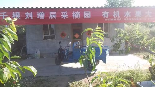 千根刘增辰采摘园