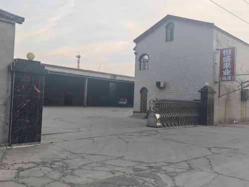 恒盛果业(南库)