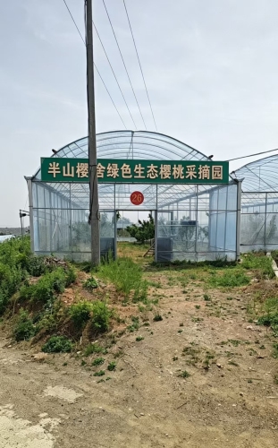 半山樱舍绿色生态樱桃采摘园
