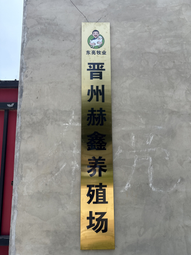 晋州赫鑫养殖场