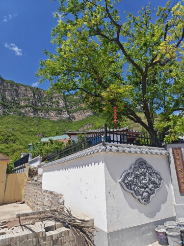 揽山小院