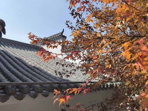 揽山小院