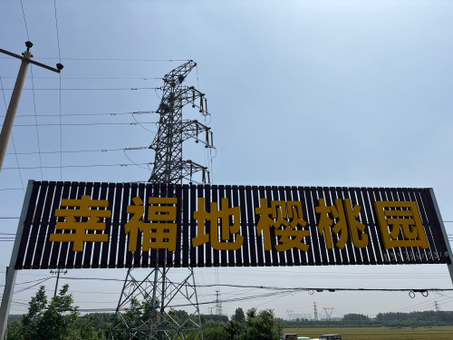 幸福地樱桃园