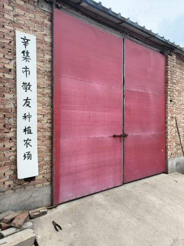 辛集市敬友种植农场
