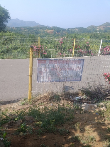 杨国栋樱桃采摘园
