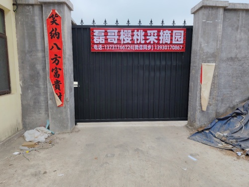 磊哥樱桃采摘园(暂停营业)
