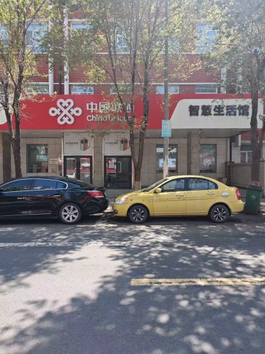 中国联通(新开路店)