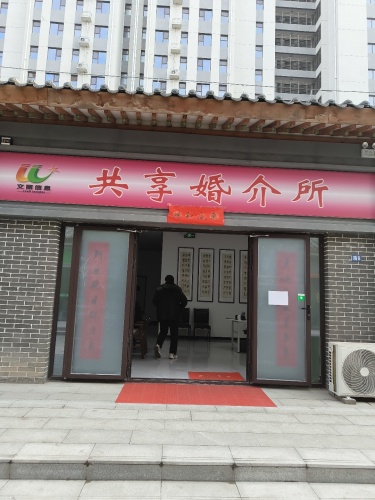 文丽婚介所