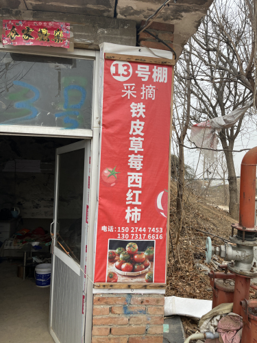 13号棚采摘园