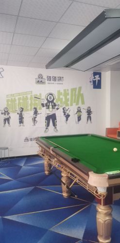 碰碰捌24h自助台球(行唐东街)
