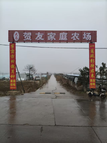贺友家庭农场