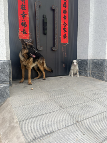 可乐小院