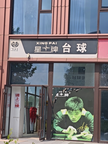 星十牌台球