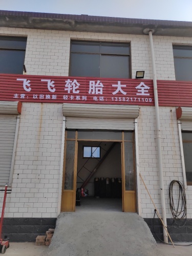 飞飞轮胎大全