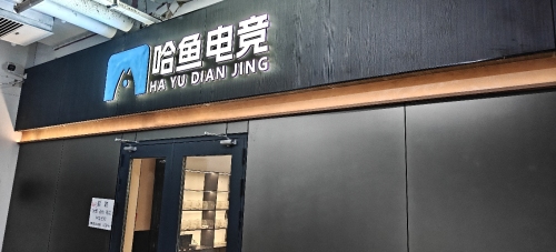哈鱼电竞