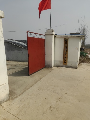 鹿泉区泓贝水产养殖场