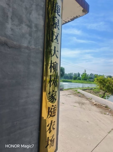 鹿泉区大柳树家庭农场