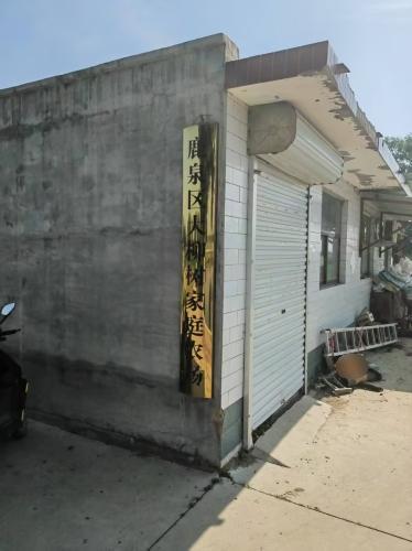 鹿泉区大柳树家庭农场