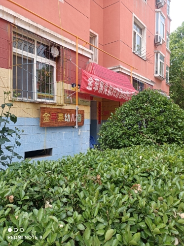 金苹果龙泉幼儿园